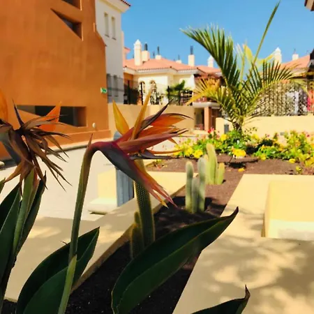 Selena Luxury Monte Carrera *